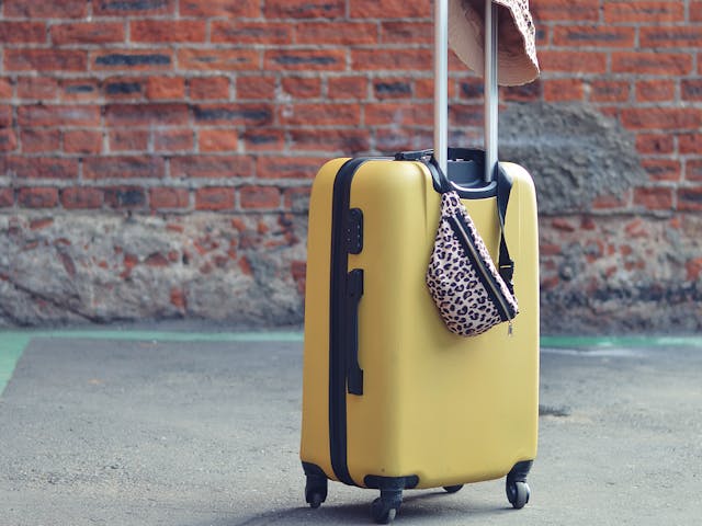 Trolley Bag for employees